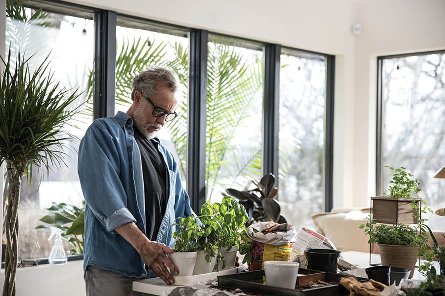 Person in white house with plants in front of black framed Andersen windows